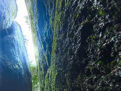-汤旺河林海奇石景区