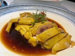 葱油鸡-鱼翅楼·津派砂锅鱼翅(水上公园店)