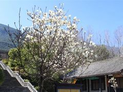 -天龙八部武侠城