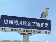-海驴岛(荣成市)