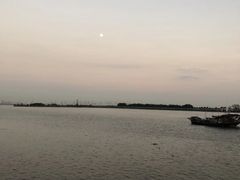 -大湾区中央湿地公园-十九涌