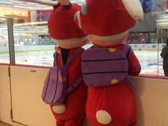 -冠军冰场CHAMPION RINK(凯德广场店)