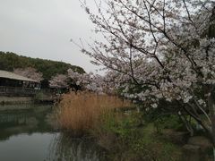 -玉山公园