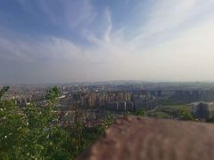 -杭州半山国家森林公园