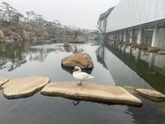 -罗红摄影艺术馆