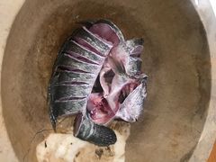 -云中鱼蒸汽石锅鱼(川沙百联店)