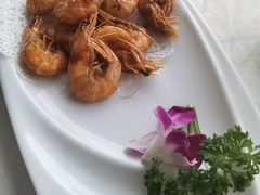 -云中小雅
