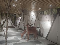 -东方之珠洗浴休闲广场(南开店)