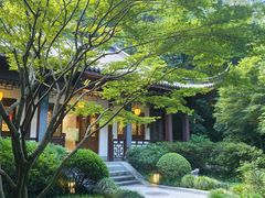 -十八棵（老龙井）御茶园(老龙井店)