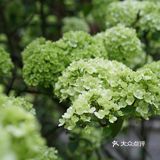 一觉睡到天亮~下午茶可以坐在楼下的林子里，听鸟鸣蛙叫