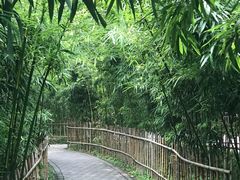 -紫竹院公园冰场
