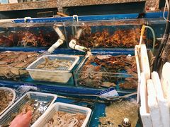 水产区-京深海鲜市场(光彩路店)
