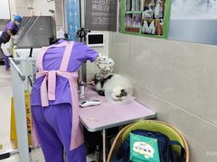 -北京观赏动物医院·24小时大型综合·猫专科·异宠专科