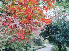 -临平公园(临平街道)