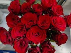 -溪岸路花鸟市场