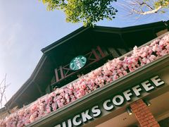 -星巴克臻选(思南公馆店)