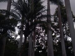 -人民公园(罗湖区)