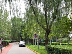 -南长河公园
