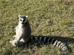 -杭州野生动物世界