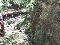 -牛背梁国家森林公园