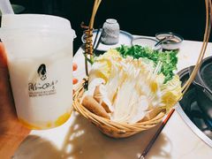 -同仁四季椰子鸡(福田东园总店)