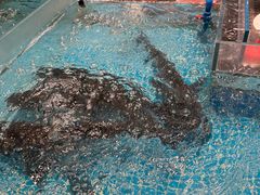 -文涵小院·邻里厨房