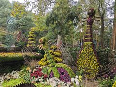 -杭州植物园