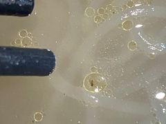 -大娘水饺(河海东路迪诺小镇店)