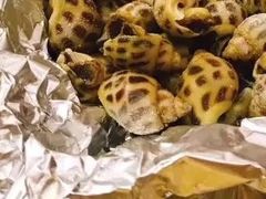 -广胜通达海鲜食府(黄沙店)