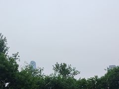 -静园(和平区)