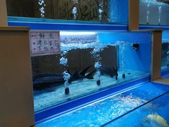 -清雅轩·清真菜·传统菜•融合菜(滑翔店)