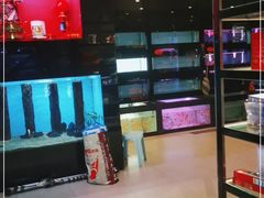 -中环花鸟鱼虫市场
