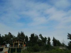 -北海金海湾红树林生态旅游区