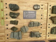 -黑河国家森林公园