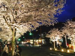 -京都全日空皇冠假日酒店