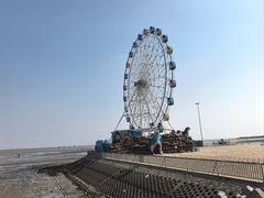 -奉贤海滩
