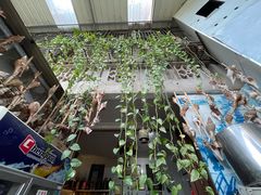-郑厨私房菜