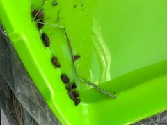 -瑞派·关忠动物医院·异宠专科·犬猫肿瘤·皮肤专科(望京店)