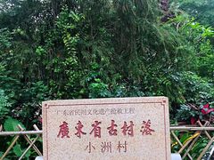 -小洲村
