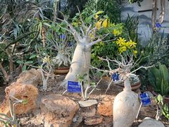 -国家植物园南园