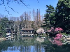-杭州植物园