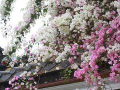 -深圳国际园林花卉博览园