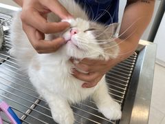 -佳雯宠物医院(四明中路分院)