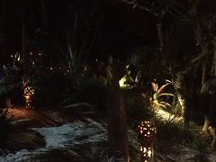 -乌托邦酒吧和餐厅