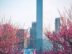 -天鹅湖体育公园