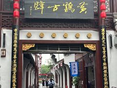 -黄鹤楼公园(黄鹤楼)