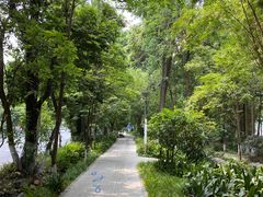 -成都市活水公园