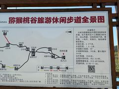 -大岭沟猕猴桃谷风景区