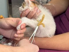 -酷宠动物医院(天通西苑店)