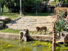 -常州淹城野生动物世界